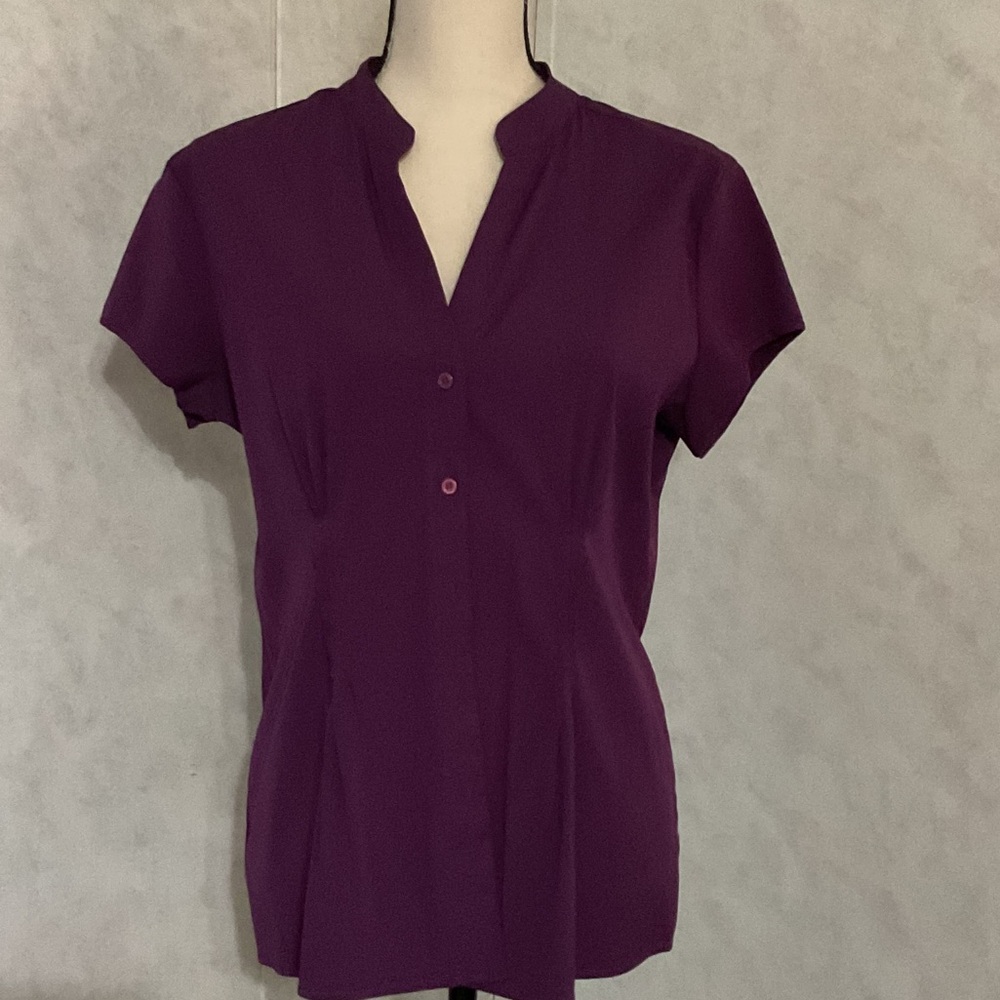 Elegant Purple Short Sleeve Blouse
